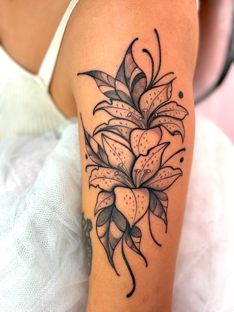 A força e a elegância do preto