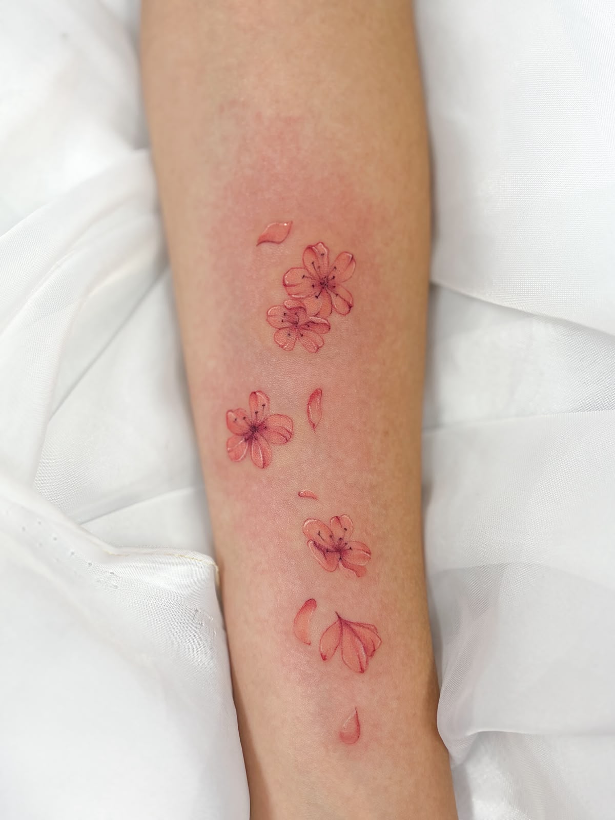 Tatuagem colorida autoral da Ihlustra Tattoo